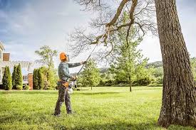 Best Lawn Disease Treatment  in Eagle Lake, MN